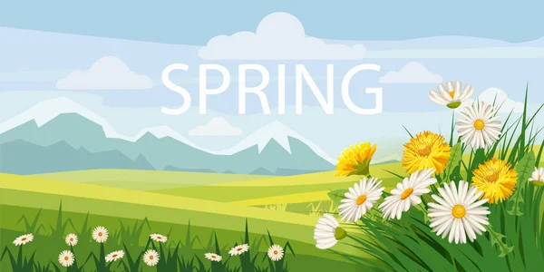 Paisajes hermosos de primavera, campos, flores de manzanilla, dientes de león, montañas, nubes, estilo de dibujos animados, vector, ilustración, aislado — Vector de stock