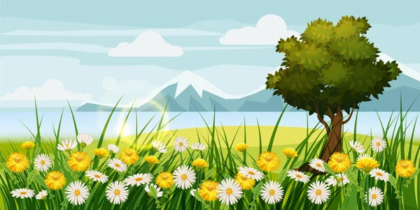 Primavera belas paisagens, campos, flores de camomila, dentes-de-leão, montanhas, nuvens, estilo dos desenhos animados, vetor, ilustração, isolado —  Vetores de Stock