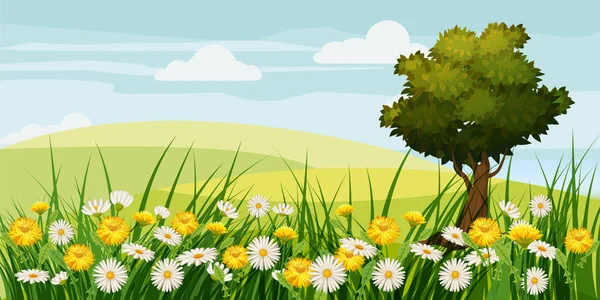 Primavera belas paisagens, campos, flores de camomila, dentes-de-leão, nuvens, estilo dos desenhos animados, vetor, ilustração, isolado —  Vetores de Stock