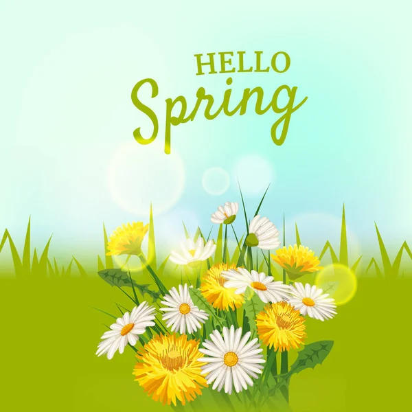 Hola primavera, un ramo de margaritas flores dientes de león, sobre un fondo verde, estilo de dibujos animados, vector, ilustración, volante, bandera, aislado — Archivo Imágenes Vectoriales
