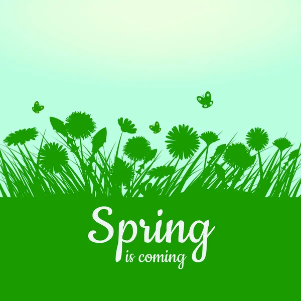 春が来ています。緑の野原、花、空。カモミール、草、タンポポ。背景。ベクトル分離、illustrarion、baner、チラシ — ストックベクタ