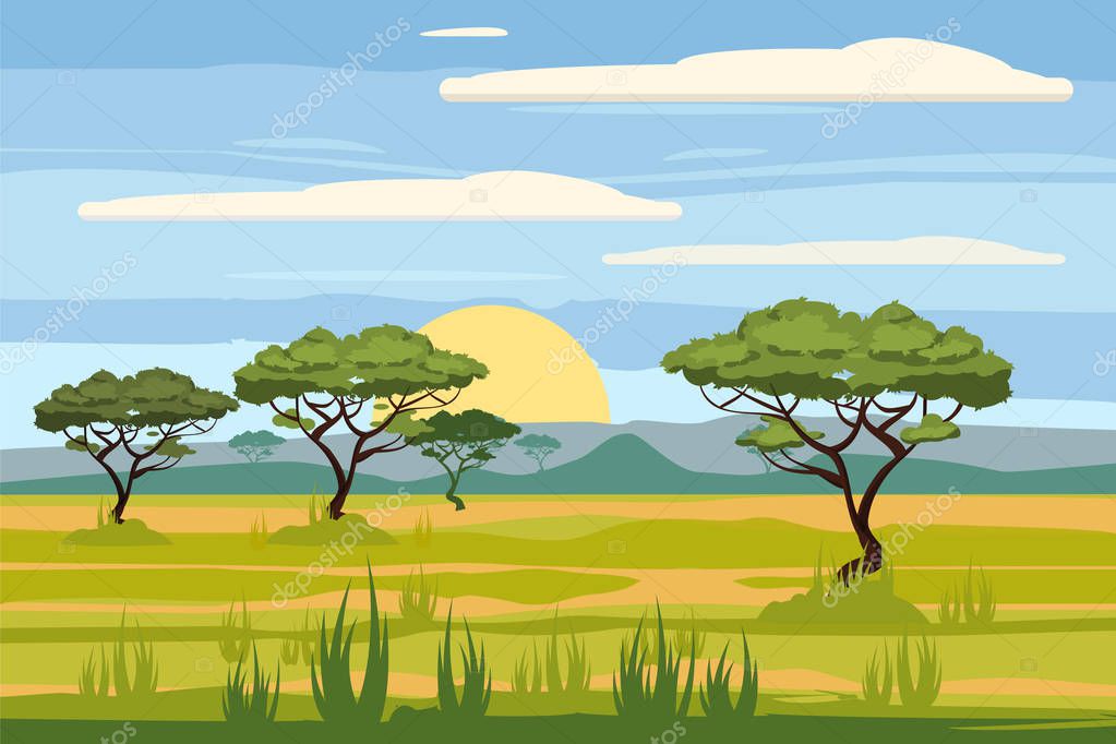African landscape, savannah, sunset, vector, illustration, cartoon