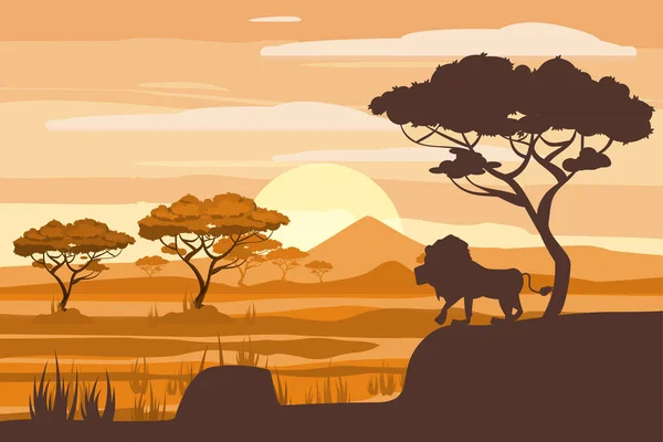 Afrikanische Landschaft, Löwe, Savanne, Sonnenuntergang, Vektor, Illustration, Cartoon-Stil, isoliert — Stockvektor