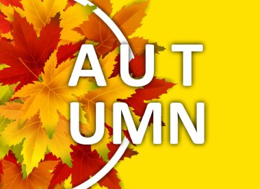 Sonbahar Arka Plan Şablonu, yaprakları, alışveriş indirimi promosyon, Kartpostal ve Davet kartı için mevsimlik poster düşen demet ile. Vektör illüstrasyon Fişi, Banner, Flyer