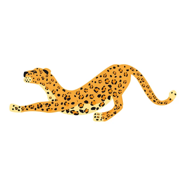 Léopard frapper style tendance mignon, mammifère prédateur animal, jungle. Illustration vectorielle isolée sur fond blanc — Image vectorielle