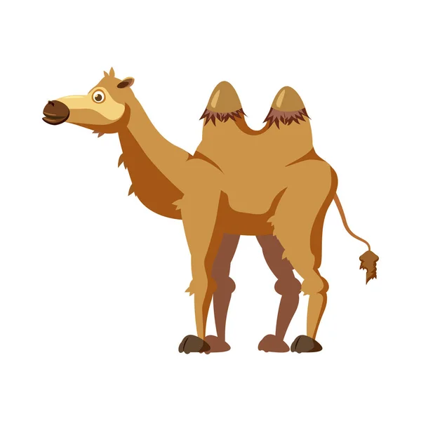 Hump Icon Vector Art Stock Images ページ 5 Depositphotos