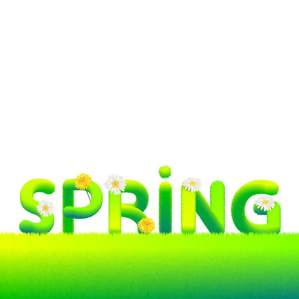 Слово Весна з хутра, пухнасті квіти ромашки, кульбаби. Типографія, текст, текстура, зелені літери, вектор, ізольована ілюстрація — стоковий вектор
