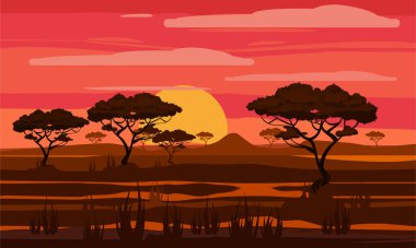 Afrika 'da günbatımı, ağaçların siluetleriyle savana manzarası, çim çalıları, portakal rengi güneş. Yedekler ve dışarıdaki ulusal parklar. Vektör illüstrasyonu izole çizgi film biçimi