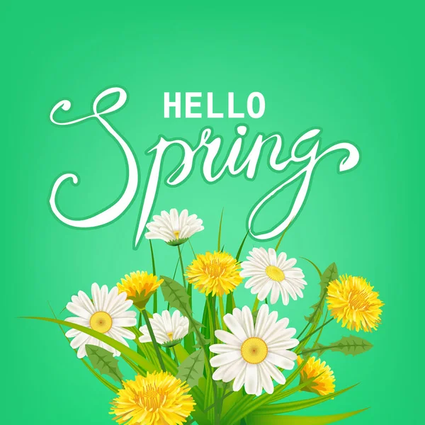 Hello Spring lettering template background with flowers dandelions and daisies, romomiles, grass. Векторная иллюстрация. Свежий дизайн для плакатов, флаеров, поздравительных открыток, приглашений — стоковый вектор