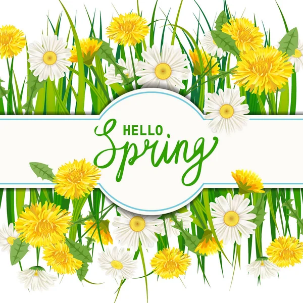 Hello Spring lettering template banner with fresh flowers bouquet dandelions and daisies, romomiles, grass. Векторная иллюстрация. Цветочный дизайн плакатов, листовок, поздравительных открыток, приглашений — стоковый вектор