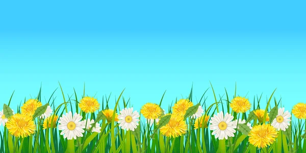 Primavera fundo modelo com flores dentes-de-leão e margaridas, camomilas, grama. Ilustração vetorial. Design fresco para cartazes, folhetos, cartão de felicitações, convite —  Vetores de Stock