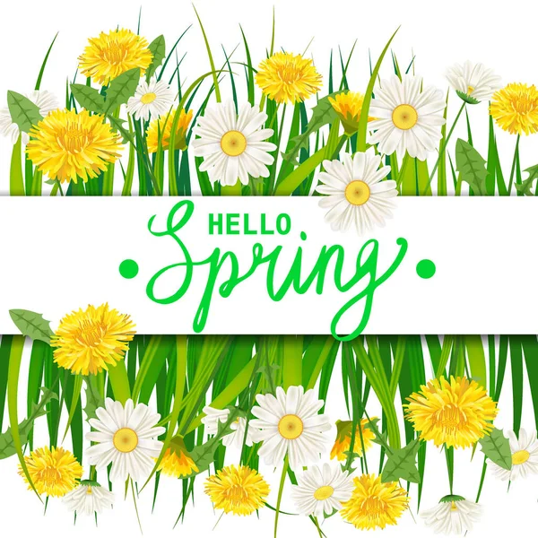 Hello Spring lettering template banner with fresh flowers bouquet dandelions and daisies, chamomiles, grass. Vector illustration. Floral design for posters, flyers, greeting card, invitation — ストックベクタ