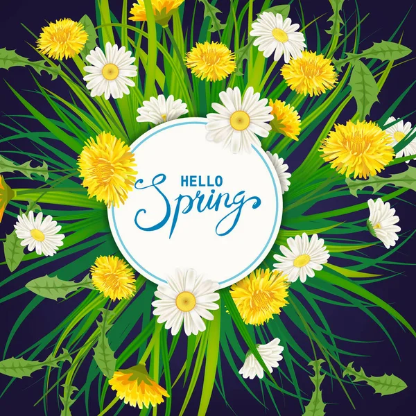 Hello Spring lettering template background with flowers bouquet dandelions and daisies, chamomiles, grass. Vector illustration. Fresh design for posters, flyers, greeting card, invitation — Wektor stockowy
