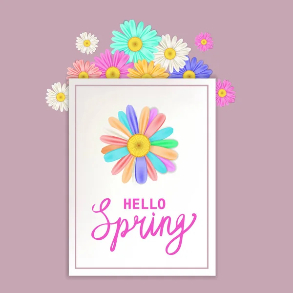 Hello Spring litere șablon banner cu flori proaspete buchet margarete multi-colorate, musetel. Ilustrație vectorială. Design floral pentru afişe, pliante, felicitări, invitaţie — Vector de stoc