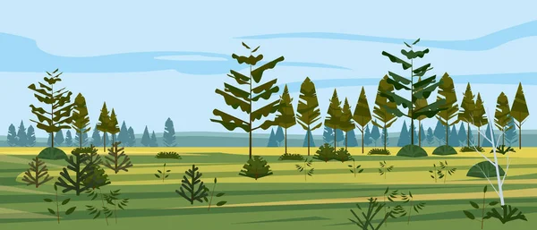 Äng och skog landskap natur, gran tallar, gräs och buskar. Panorama-landskapet. Vektor illustration banner affisch mall trendig stil — Stock vektor