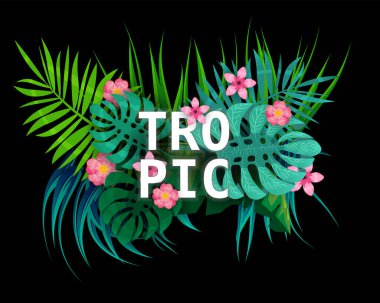 Yaz tropikal yaprakları, egzotik bitki yaprakları, orman yaprağı. Koyu arkaplan şablon pankartında moda renkleri. Vektör çizimi izole edildi