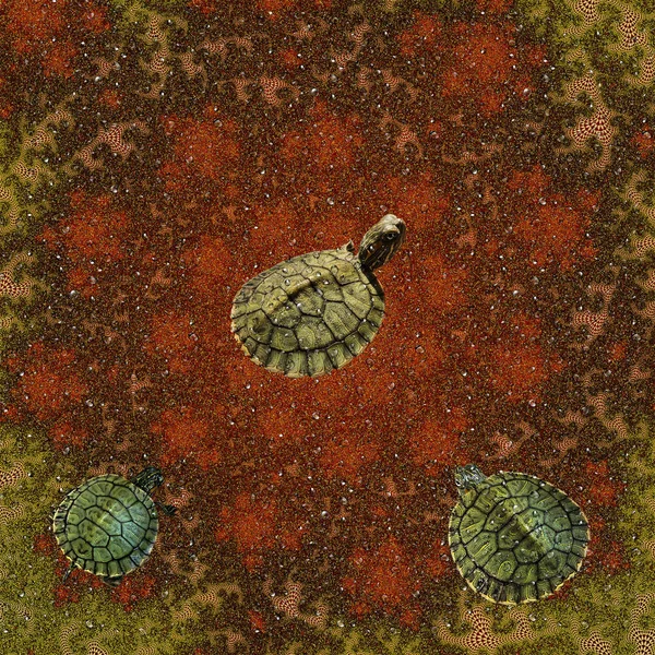 Decorative panel with three turtles