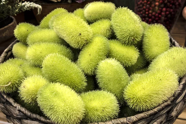 Sepette egzotik salatalık