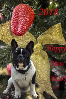 2018 Çin yeni yılı köpek