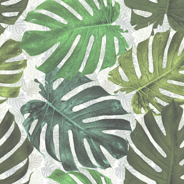 Bezešvé Monstera Tropické Džungle Palmové Listy Vzor Bílém Pozadí Pro — Stock fotografie