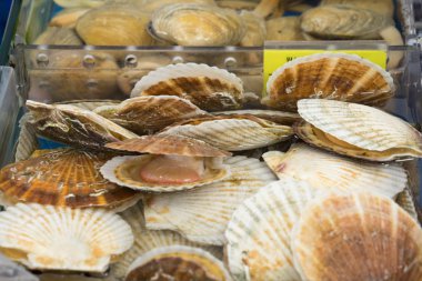 taze deniz ürünleri, Balık pazarı