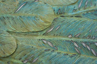 soyut yeşil tüy arka plan