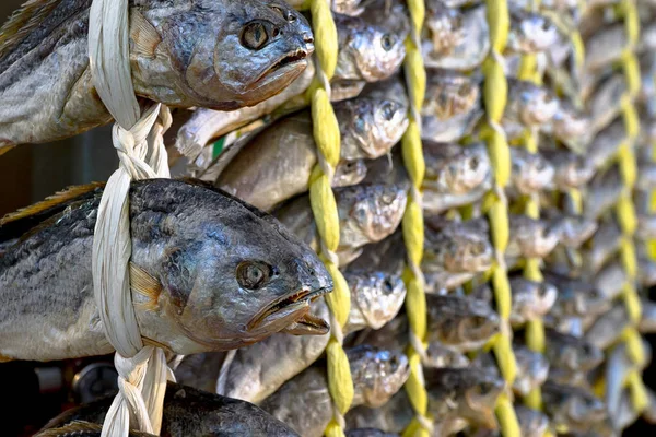 Lógó szárított hal — Stock Fotó