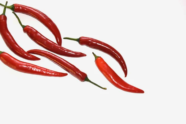 Rote Chilischote Isoliert — Stockfoto