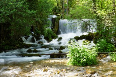 Dağ nehir bahar nehrin Vrelo