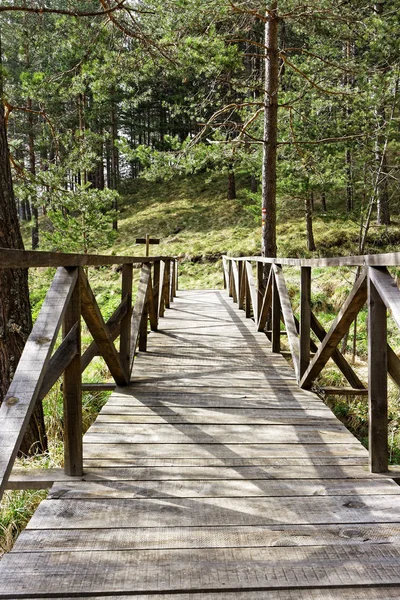 Antiguo puente de madera en la naturaleza — Foto de Stock