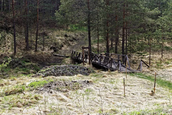 Antiguo puente de madera en la naturaleza — Foto de Stock