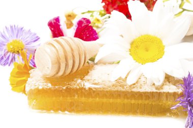 Bahar çiçekleri ile petek