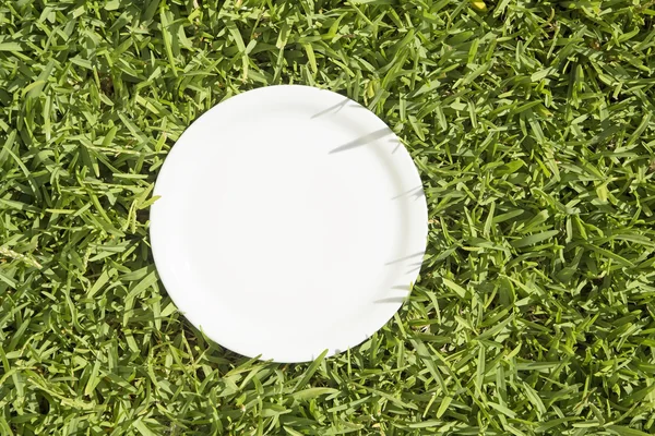 Assiette blanche sur herbe — Photo