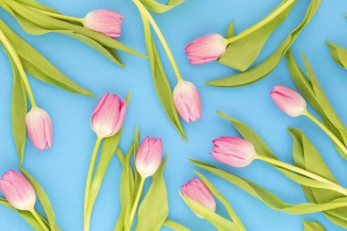 Pembe Laleler arka plan