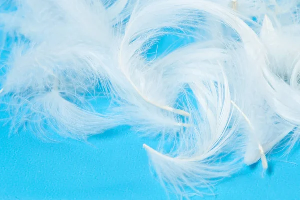 Fondo plumas blancas —  Fotos de Stock