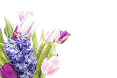 Lale ve bir sümbül