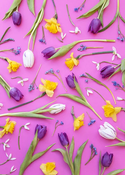 Flowers on pink background — Stock Photo, Image