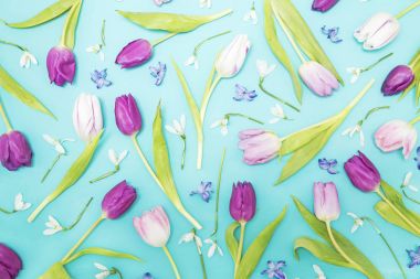 Lale ve bir sümbül