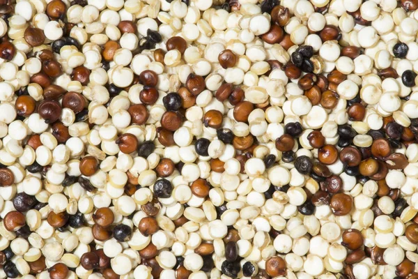 Fundo de sementes de quinoa — Fotografia de Stock