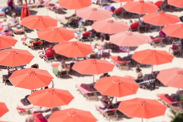 Ombrelli rossi su una spiaggia — Foto Stock
