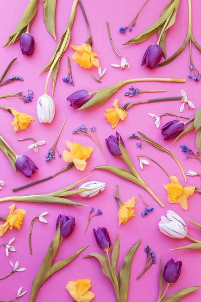 Flower arrangement on pink background — Stock Photo, Image