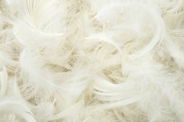 Yığın beyazlara bürünmüş