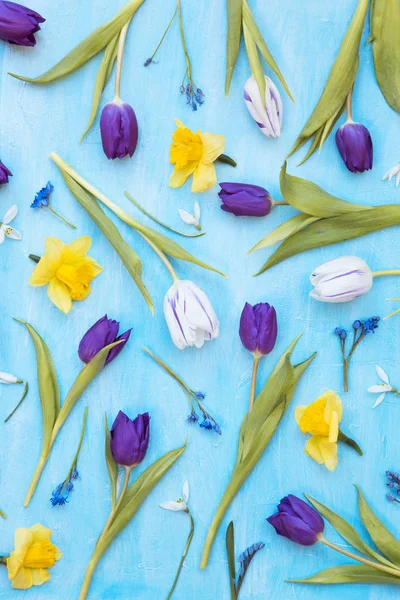 Flores de tulipanes y narcisos — Foto de Stock