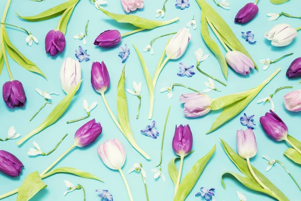 Tulips and snowdrops on blue — Stock Photo, Image