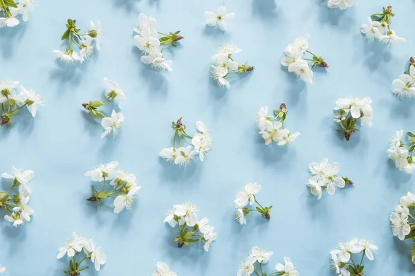Spring blossom pattern — Stock Photo, Image
