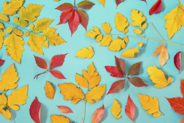 Sonbahar Yaprakları 