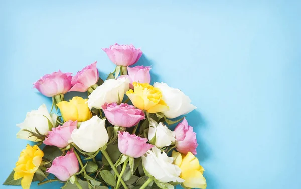 Roses — Stock Photo, Image