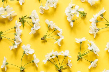 Bahar çiçeği deseni