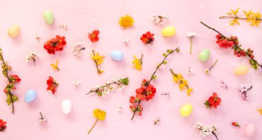 Pembe arka planda Paskalya yumurtaları ve bahar çiçekleri