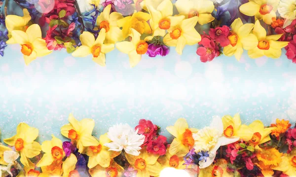 Frühling Blumenschmuck Auf Blauem Hintergrund — Stockfoto